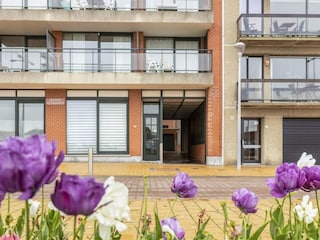 Apartamento Wenduine Grabación al aire libre 2