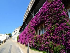 Apartments in L'Estartit - L'Estartit - image1