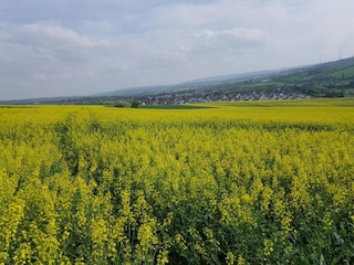 Apartment Bad Camberg Umgebung 44