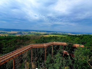 Appartement Bad Camberg Omgeving 19