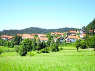 Apartment Bodenmais Umgebung 14