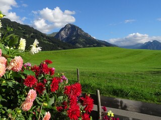 Vakantieappartement Oberstdorf Buitenaudio-opname 4