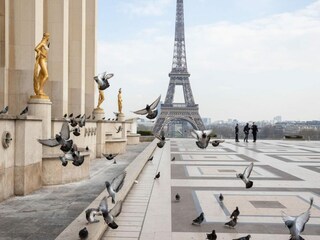 Apartment Paris Features 34