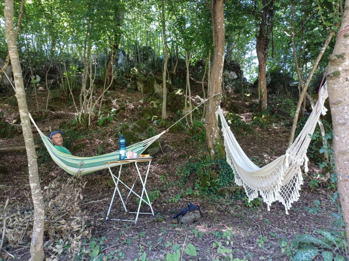 schattiger Ruheplatz im Wald