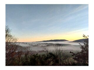 Morgens im Frühnebel