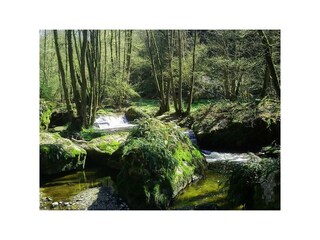 Casa per le vacanze Langweiler Ambiente 31