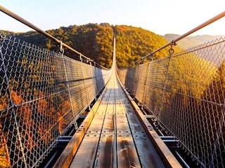 Maison de vacances Langweiler Environnement 33