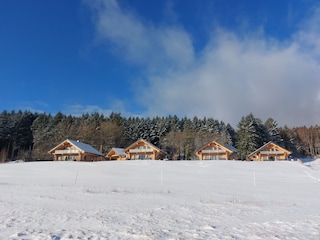 Naturstammhäuser im Winter in Deutschland