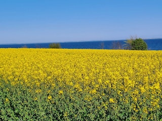 Maison de vacances Sydals  22