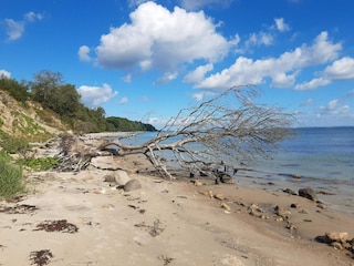 Maison de vacances Sydals  39