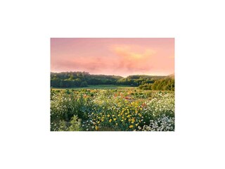 Vakantiepark Krag Omgeving 21