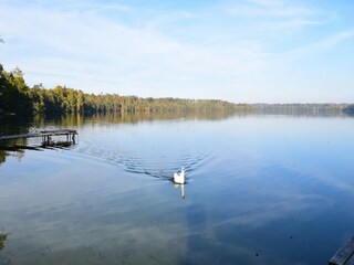 Ferienpark Parchowo Umgebung 24