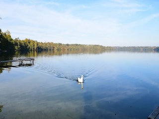 Ferienpark Parchowo Umgebung 26
