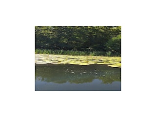 Ferienpark Parchowo Umgebung 28