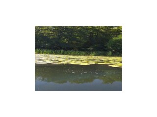 Parc de vacances Parchowo Environnement 23