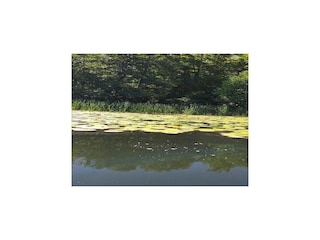 Holiday park Parchowo Environment 29