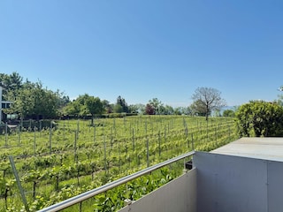 Aussicht von Terrasse