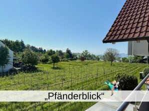 Holiday apartment Ferienwohnung Pfänderblick