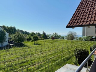 Aussicht von Balkon/Terrasse
