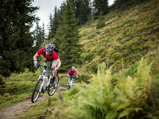 Apartment Niedernsill Umgebung 15