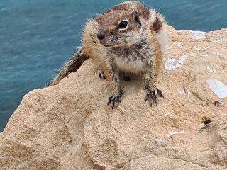 Appartamento Costa Calma Ambiente 24