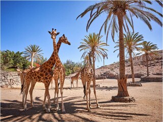 Appartamento Costa Calma Ambiente 25