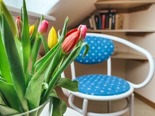 Apartamento de vacaciones Norderney Características 10
