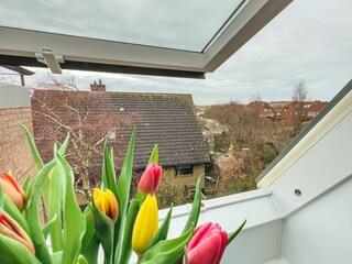 Apartamento de vacaciones Norderney Características 11