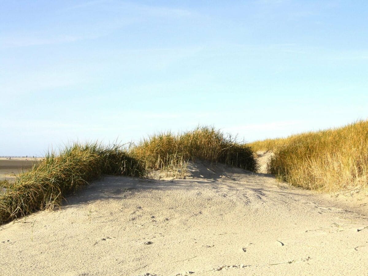 Apartment St. Peter-Ording Umgebung 11