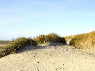 Appartement St. Peter-Ording Omgeving 11