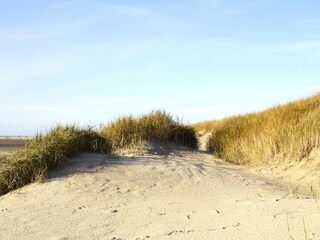 Appartement St. Peter-Ording Omgeving 16
