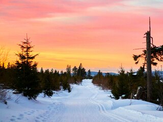 Appartamento Regen Ambiente 19