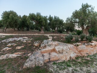 Vakantiehuis Cisternino Buitenaudio-opname 13