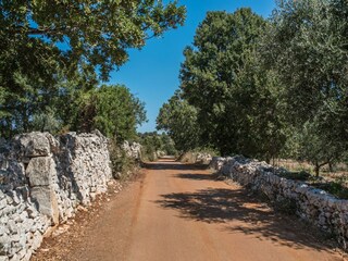Casa de vacaciones Cisternino Grabación al aire libre 13