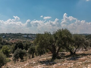 Vakantiehuis Cisternino Buitenaudio-opname 16