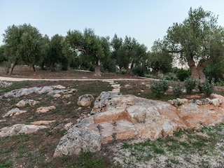 Casa de vacaciones Cisternino Grabación al aire libre 16