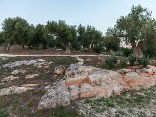 Casa per le vacanze Cisternino Registrazione all'aperto 8