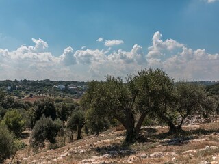 Vakantiehuis Cisternino Buitenaudio-opname 24