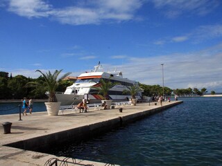 Daytrip with the ferry to Nationalparc of Brijuni