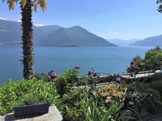 Holiday house Ronco sopra Ascona Outdoor Recording 12