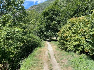 Ferienwohnung Losone Außenaufnahme 24
