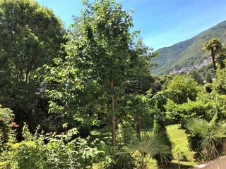 Ferienwohnung Locarno-Minusio Außenaufnahme 5