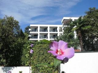 Ferienwohnung Ascona Außenaufnahme 1