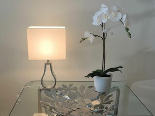 Ferienwohnung Ascona Außenaufnahme 7