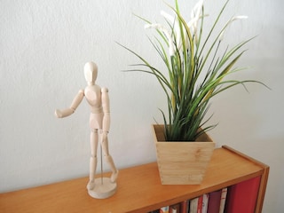 Ferienwohnung Ascona Außenaufnahme 12