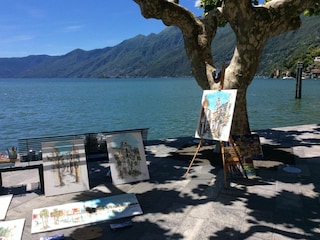 Holiday apartment Ascona Outdoor Recording 2