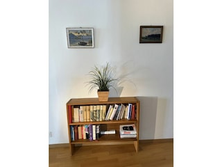 Holiday apartment Ascona Outdoor Recording 25