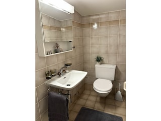 Holiday apartment Ascona Outdoor Recording 34