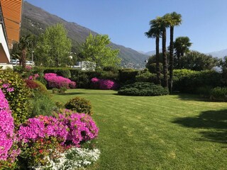 Ferienwohnung Brissago Außenaufnahme 25