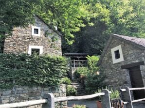 Rustico Gatto & Topolino